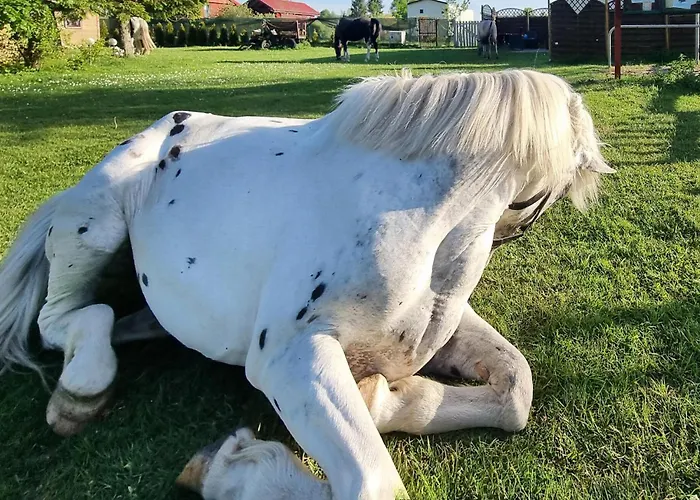 2 Bedroom Cozy In Rekowo *